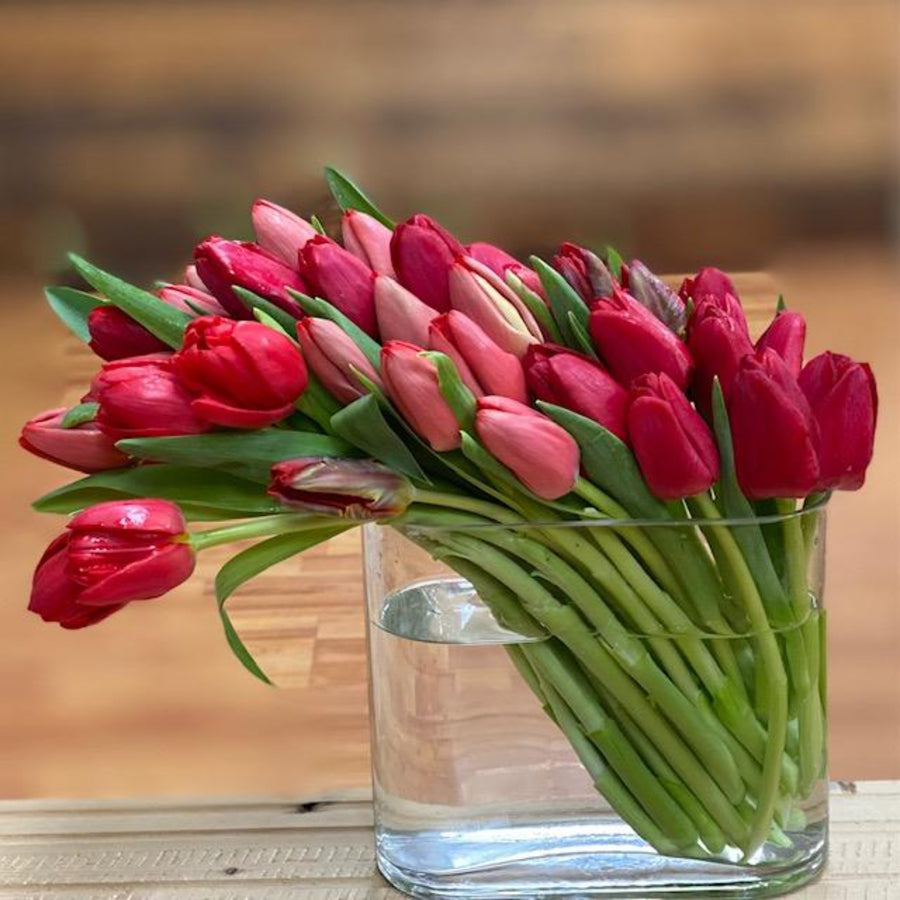 Amazing Tulips